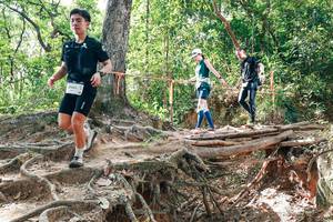 BIB: 
                            <button type="button" onclick="openModal(27719012)" class="btn btn-primary btn-sm float-right btn-popup" data-toggle="modal" data-target=".modal-high-quality">
                        <i class="fas fa-shopping-cart"></i> Add to Cart
                    </button>
                                            <button type="button" onclick="isThisMe(27719012, true)" class="btn btn-success btn-sm float-right btn-popup btn-isme hidden" data-toggle="tooltip" data-placement="bottom" title="นี่คือรูปของคุณใช่ไหม คลิกที่นี่เพื่อเอาเข้าอัลบั้ม">
                        <i class="fas fa-plus"></i> Add to album
                    </button>
                    <button type="button" onclick="isThisMe(27719012, false)" class="btn btn-warning btn-sm float-right btn-popup btn-isnotme hidden">
                        <i class="fas fa-ban"></i> Remove from album
                    </button>